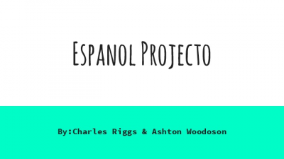 Spanish Project Unit 2