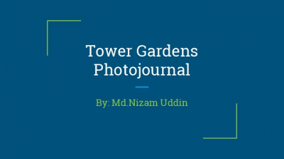 Tower Gardens Photojournal