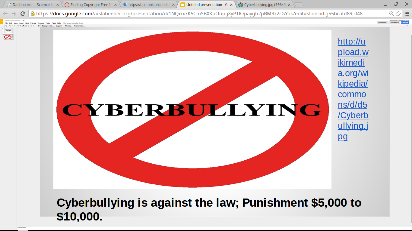 No cyberbullying