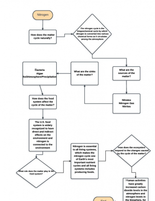 Biochem Flow Chart