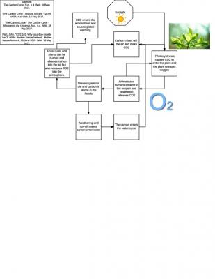 Cycles of Matter in the Food System - Carbon