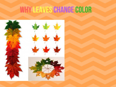 Why do do leaves change color _