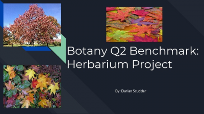 Botany Q2 Benchmark_ Herbarium Project
