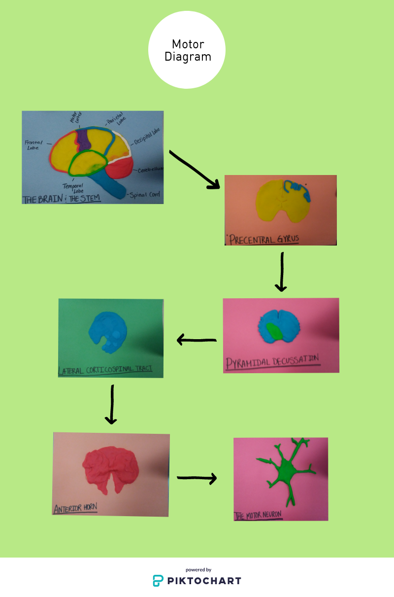 motor-diagram_29352375