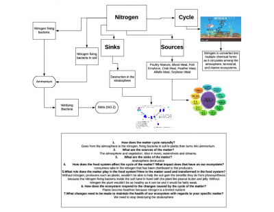 Biochem Cycles of matter