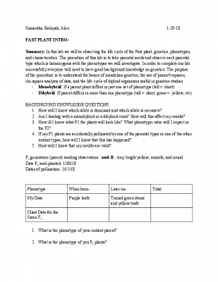 Fast plants lab