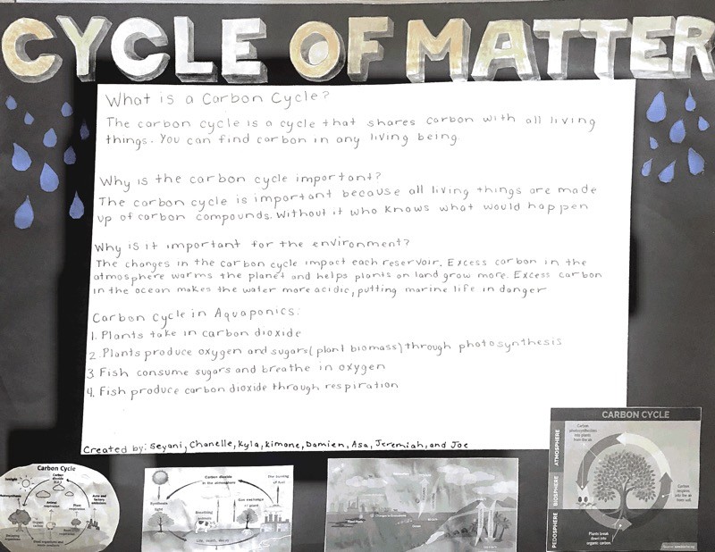 Carbon Cycle