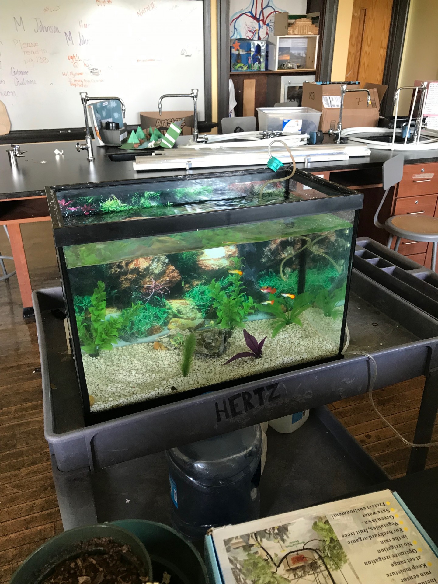 Aquaponics Systems