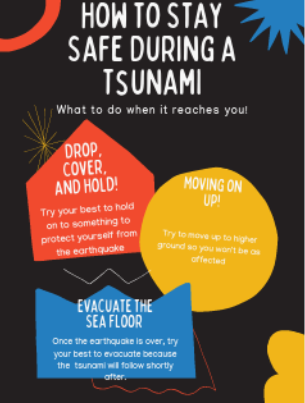Tsunami Infographic