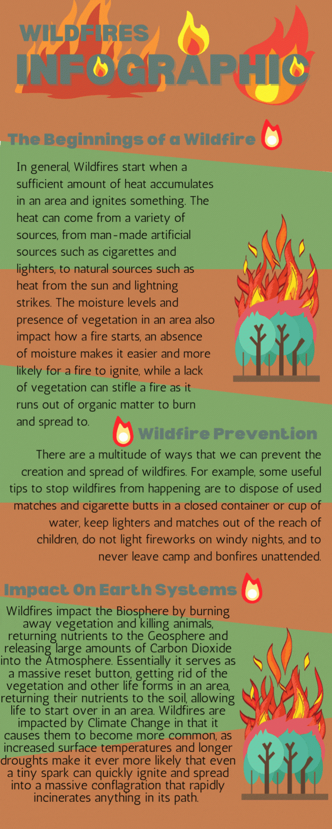 Wildfires Infographic (2)