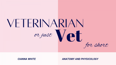 Veterinarian or just Vet for short  (1)