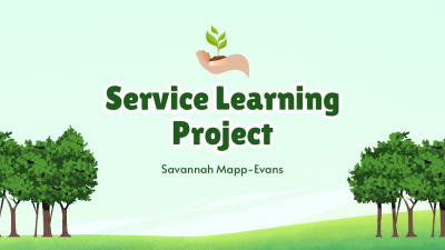 Service Learning Project